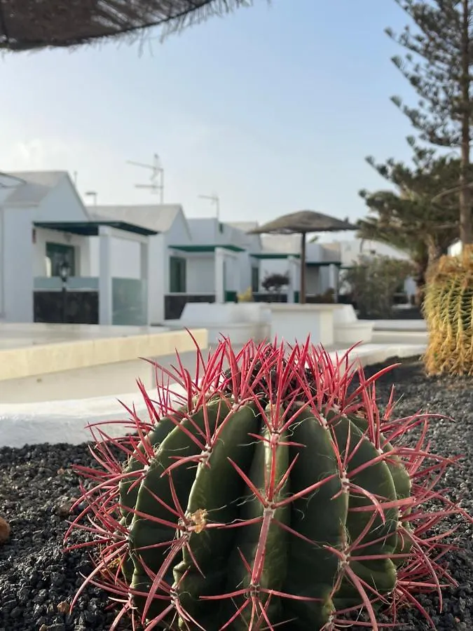 Casa Alba Apartment Puerto del Carmen